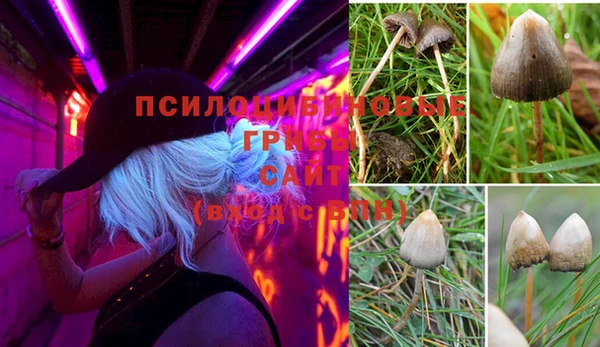 прущие крисы Строитель