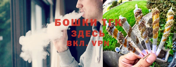 молекула духа Чита