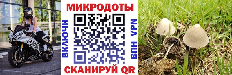 Псилоцибиновые грибы мухоморы  купить наркотик  Полтавская 